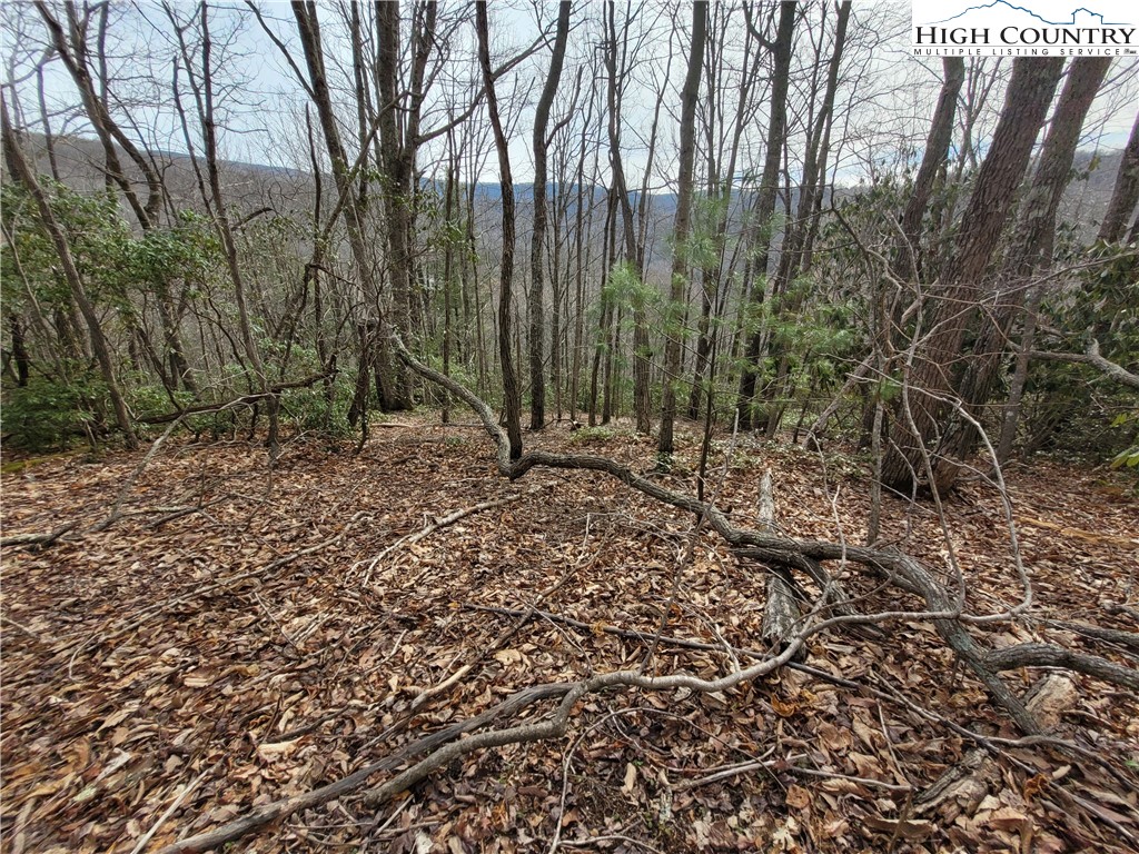 1138 Pine Ridge Road Beech Mountain, NC 28604 - Photo 1 of 24 Gallery Image 1