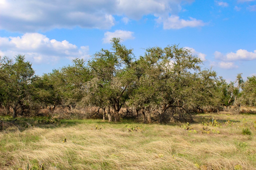 282 Apache Trace Northwest Harper, TX 78631 - Photo 2 of 2