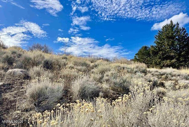 2790 Lake Ridge Shores Circle Reno, NV 89519 - Photo 10 of 13 20250410084037718581000000-o