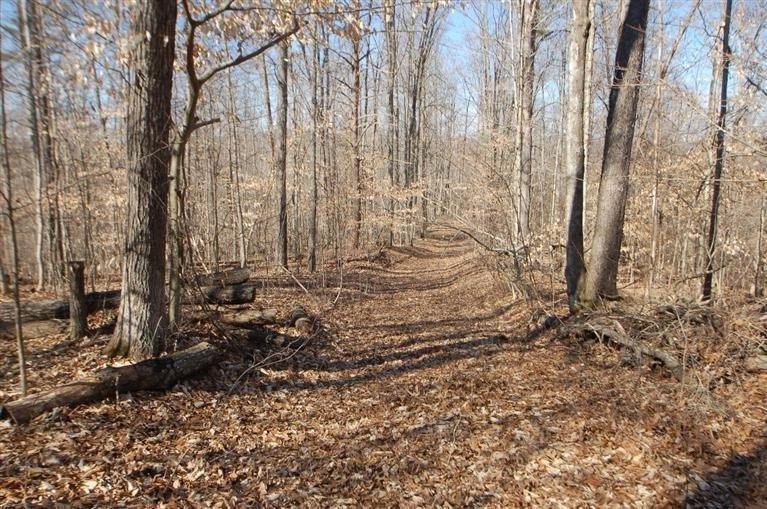 2040 Mandy Road Irvine, KY 40336 - Photo 6 of 39 Established road bed would be a HOOT to