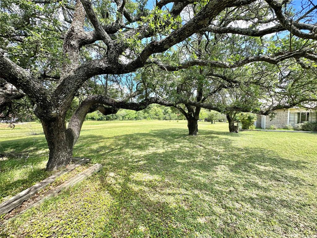 500 Apache Trail Comanche, TX 76442 - Photo 14 of 18 a view of yard with tree s