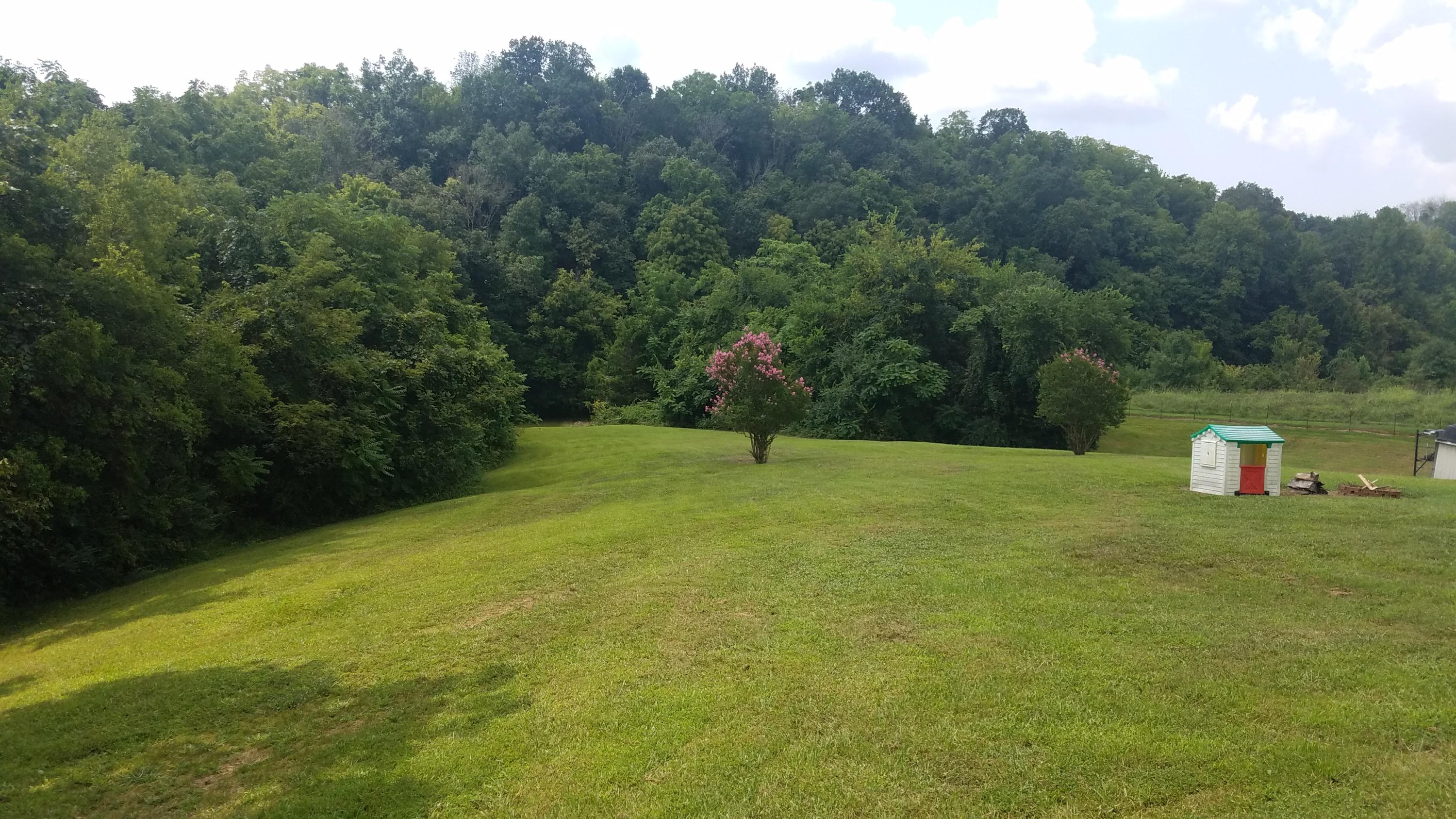 2177 Carmichael Road Talbott, TN 37877 - Photo 18 of 24 18