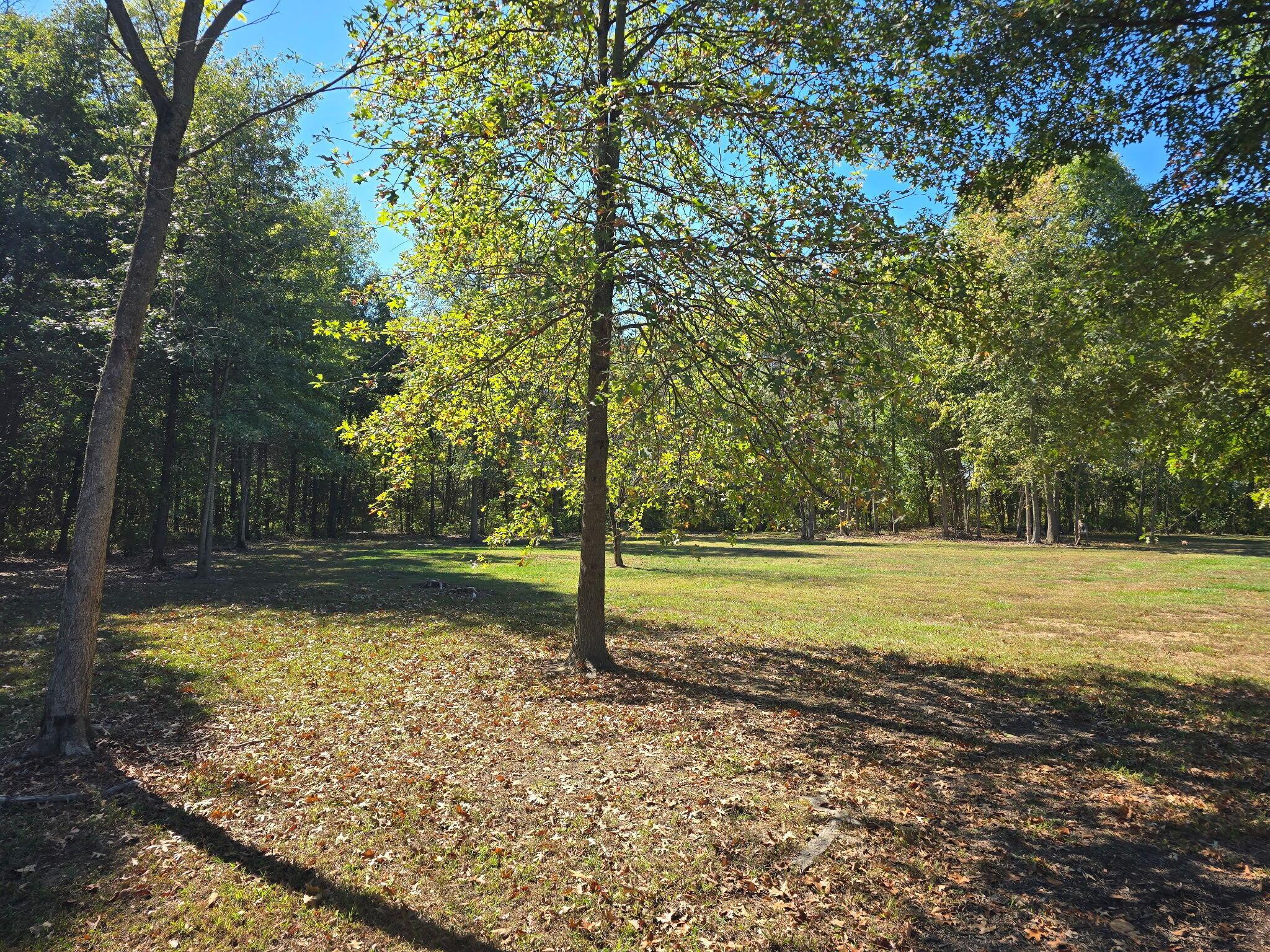 24805 Rapp-Dean Road Raymond, OH 43067 - Photo 72 of 74 Yard