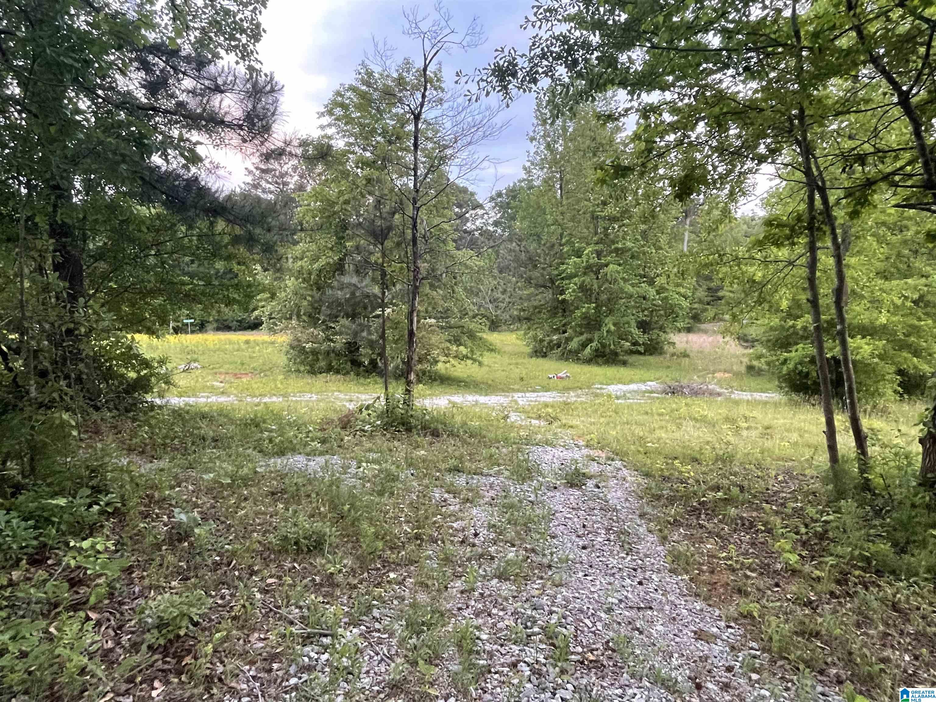 2021 Brookside Road, Unit 3 Mount Olive, AL 35117 - Photo 2 of 16