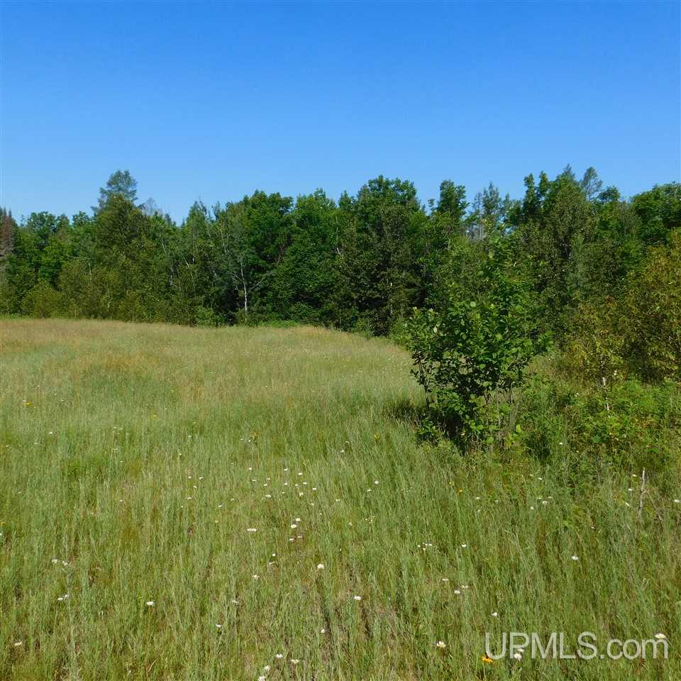 Tbd Tbd Off Fox Farm Road Hermansville, MI 49847 - Photo 6 of 12