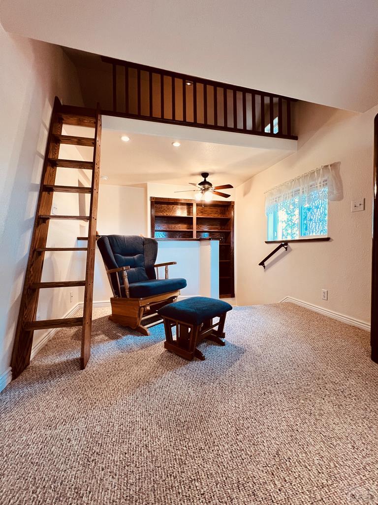 10189 Singer Lane Rye, CO 81069 - Photo 24 of 49