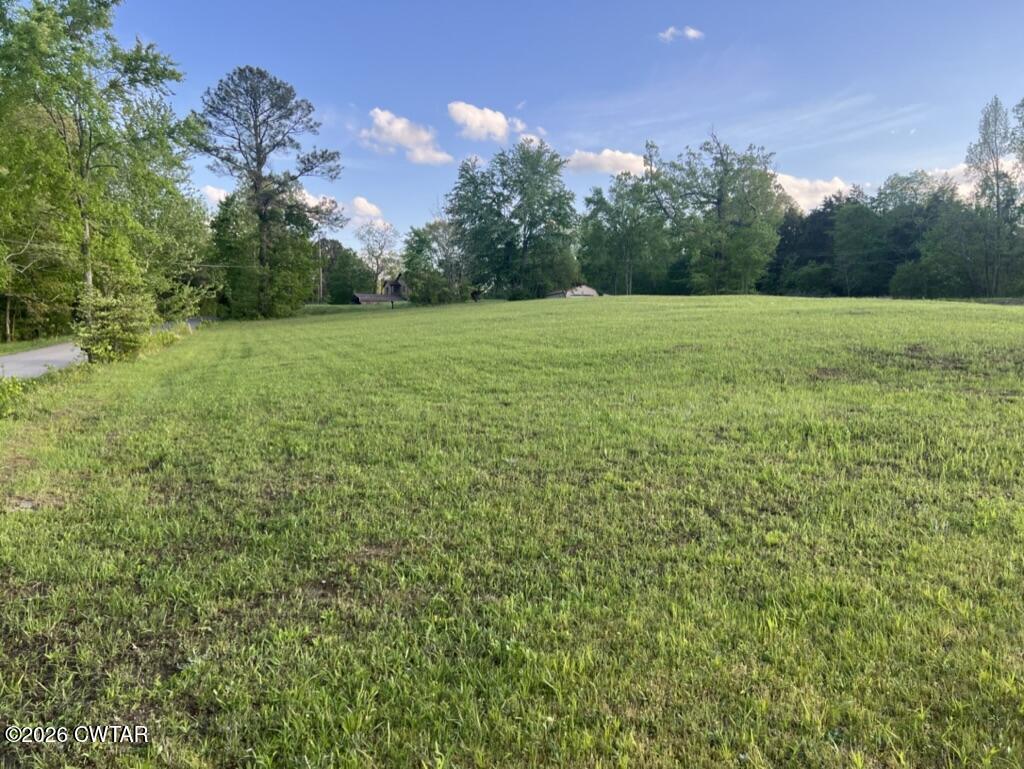 130 Hidden Acres Road Paris, TN 38242 - Photo 1 of 4 DB5F260E-5978-4E40-ACF5-AD3C721F3E56_1_1