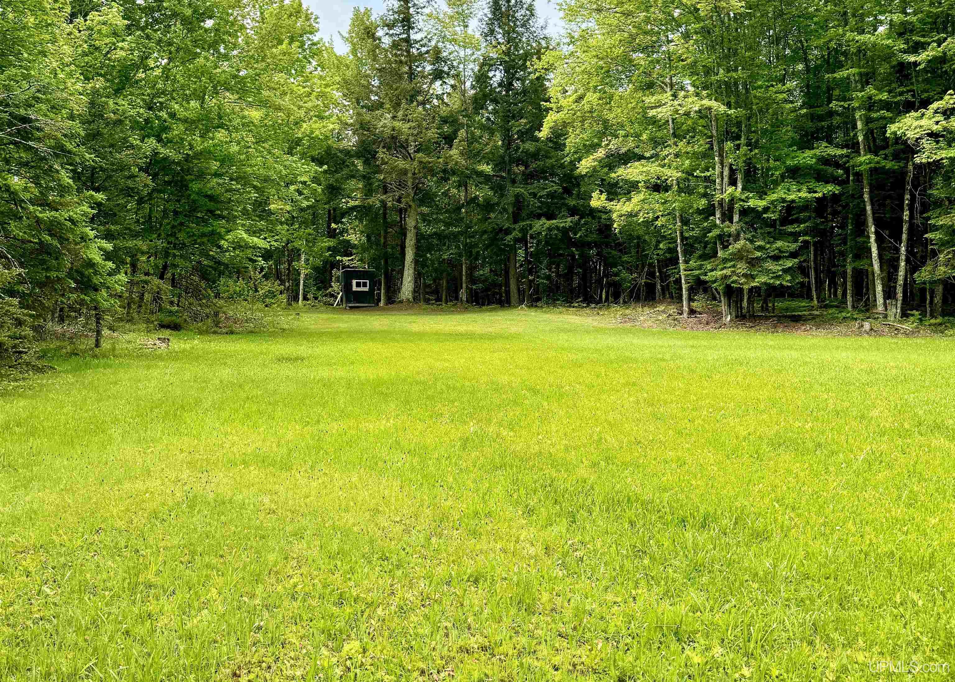 426 Rd Arnold Mi 49819 Road Felch, MI 49831 - Photo 19 of 45