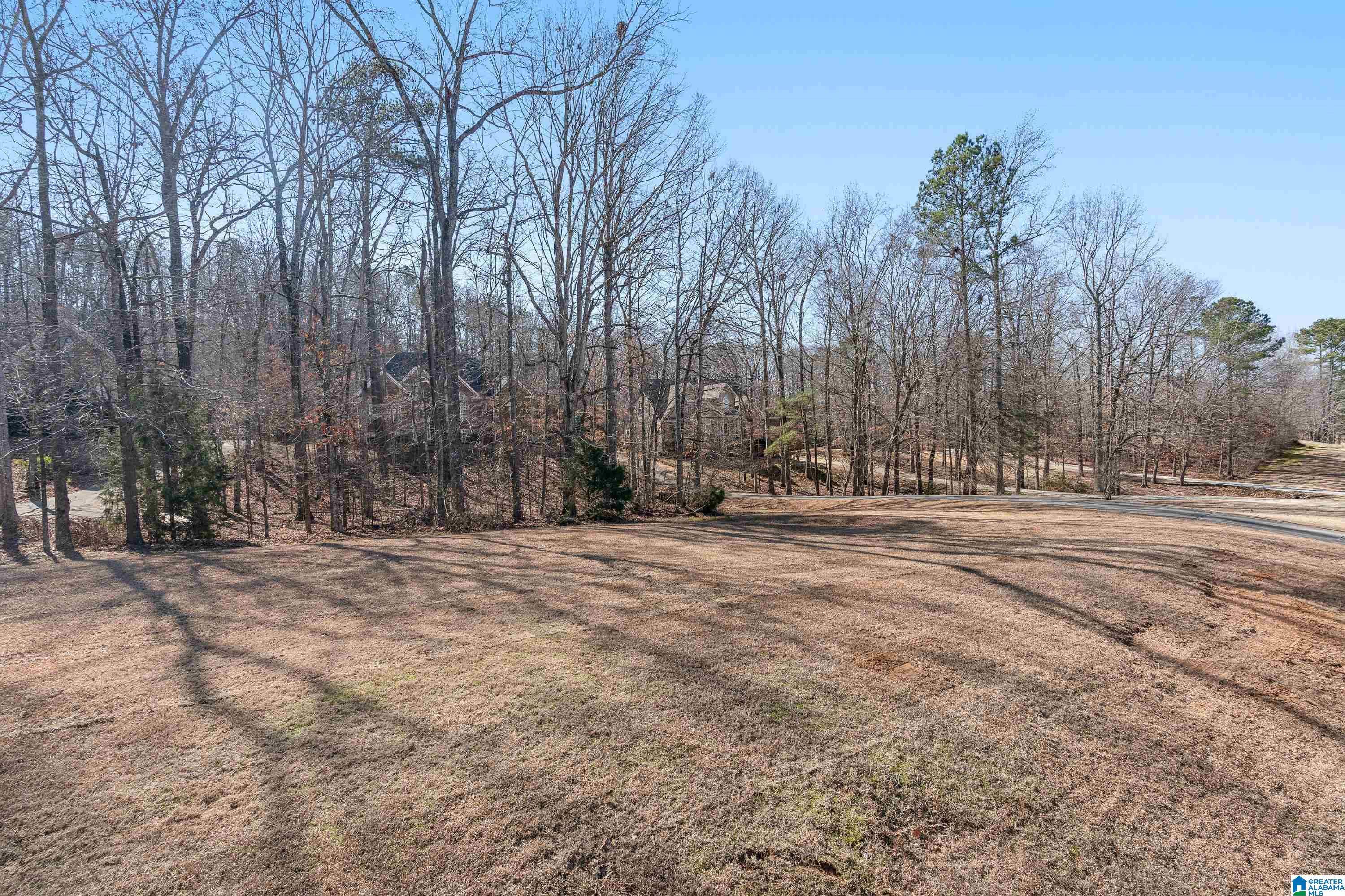 172 Silverleaf Drive Pelham, AL 35124 - Photo 54 of 54