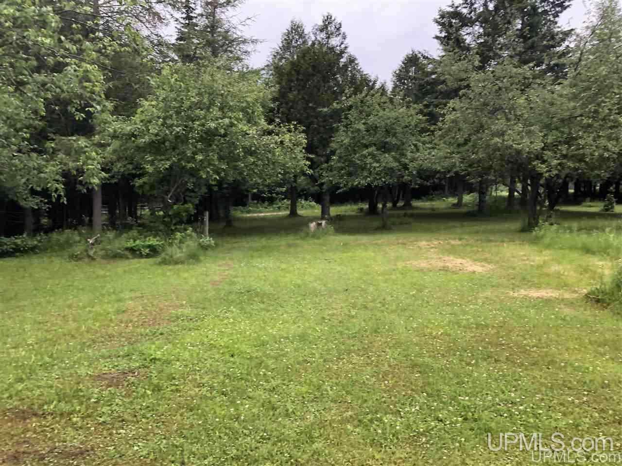 W16487 Mcconnell Road Curtis, MI 49820 - Photo 24 of 37