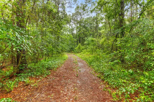 a view of a pathway both side of yard