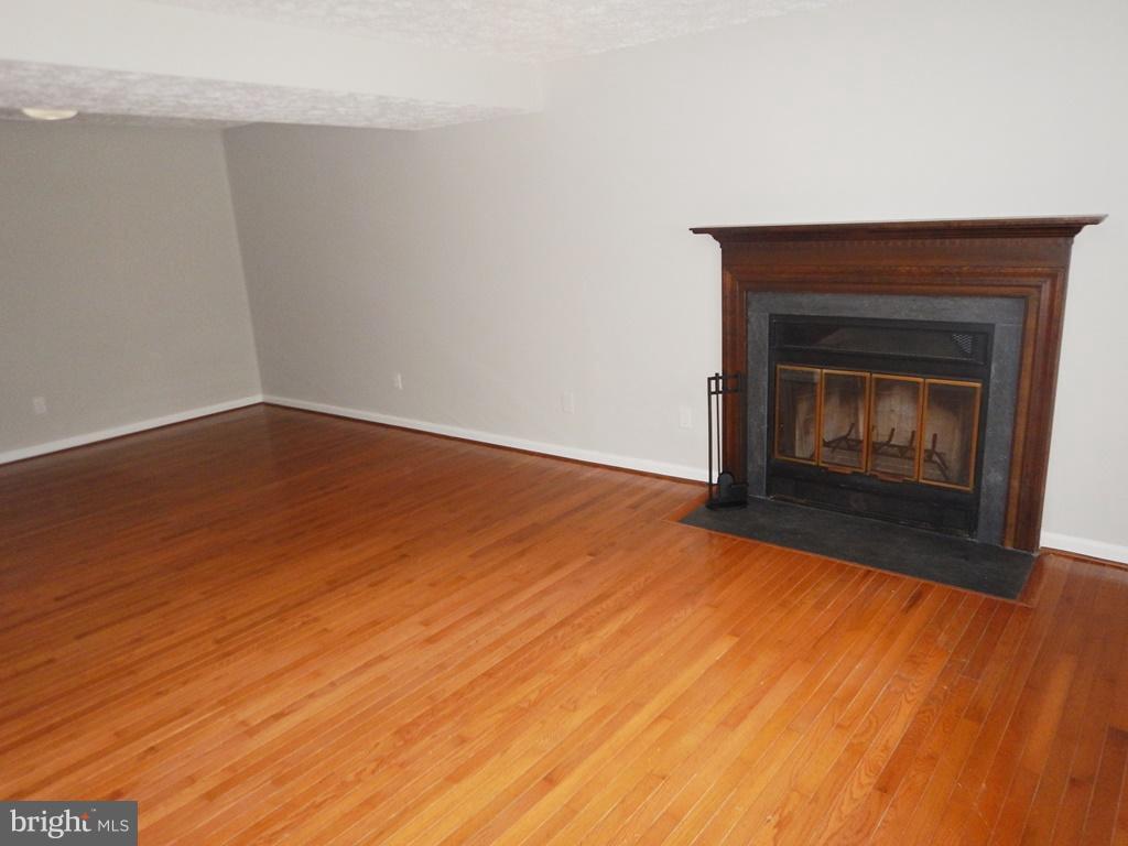 5700 Tender Court Springfield, VA 22151 - Photo 14 of 26 Recreation Room with Fiireplace