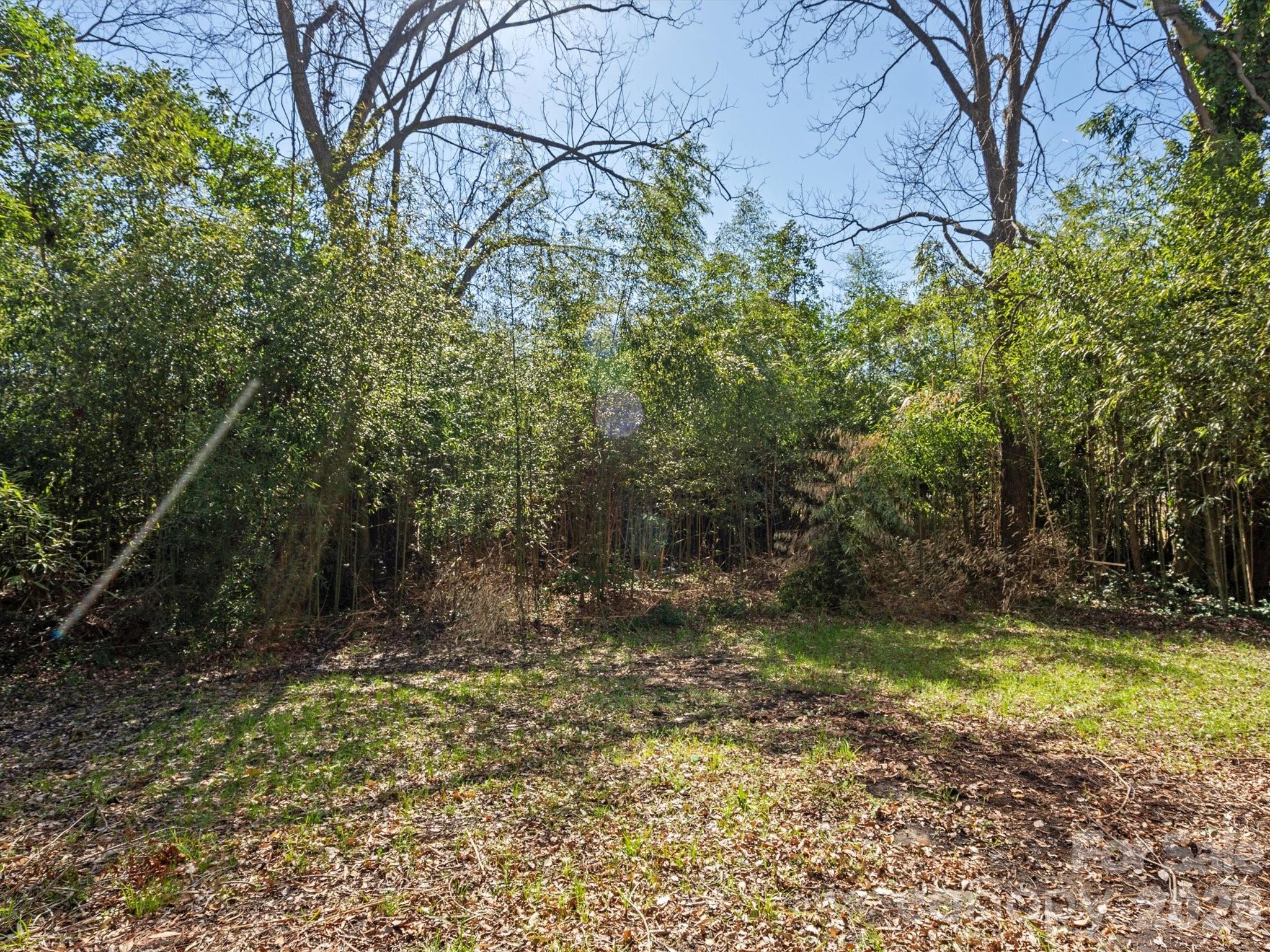 105 South York Street Lancaster, SC 29720 - Photo 28 of 28 a view of a yard with plants and large trees