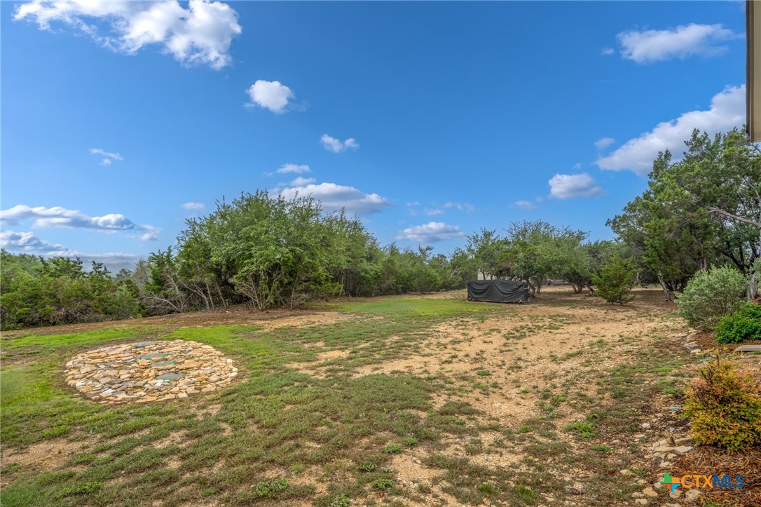 863 Primrose Path Spring Branch, TX 78070 - Photo 21 of 25