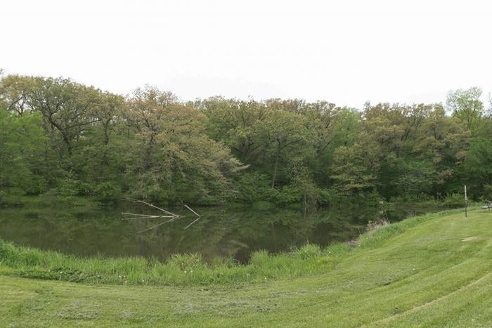 1406 Foster Woods Road Wellman, IA 52356 - Photo 20 of 25 Gallery Image 20