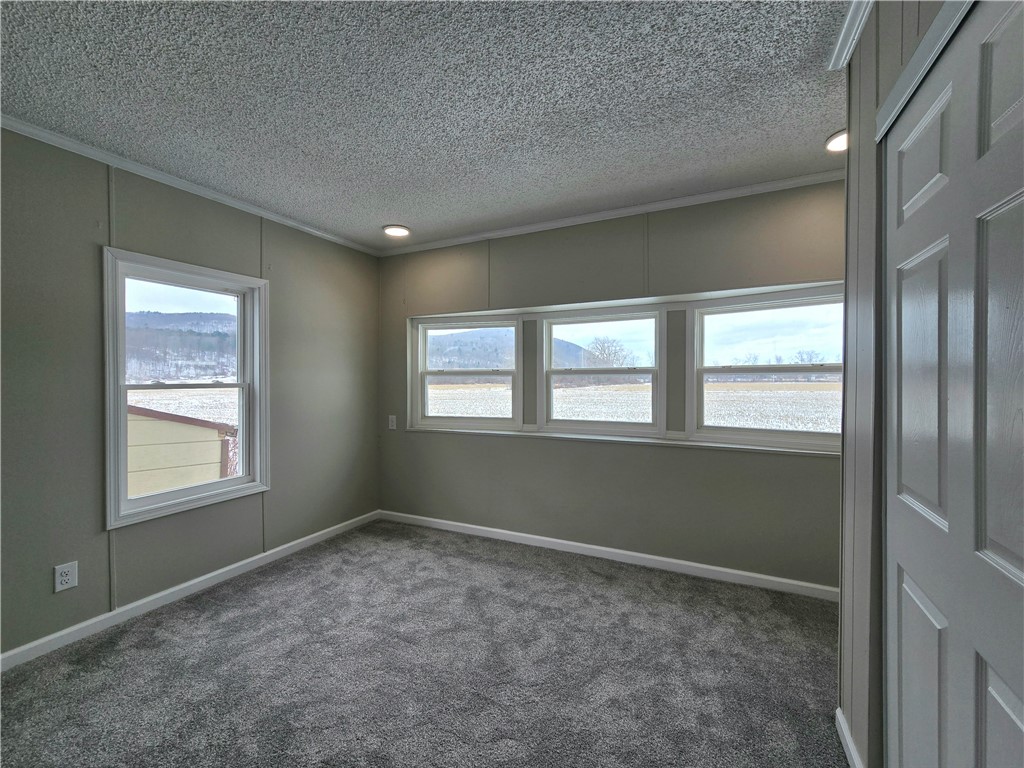 3374 Lower Maple Avenue Ashland, NY 14901 - Photo 12 of 20