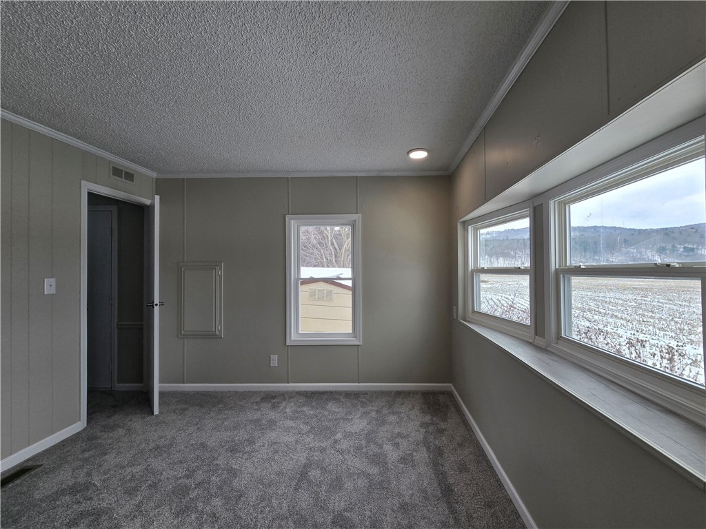 3374 Lower Maple Avenue Ashland, NY 14901 - Photo 13 of 20