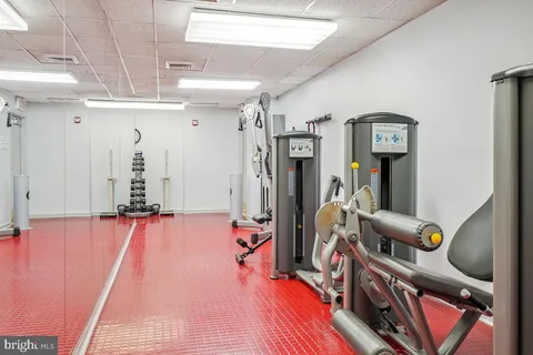 a living room with fireplace furniture and a potted plant