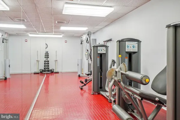 a living room with fireplace furniture and a potted plant