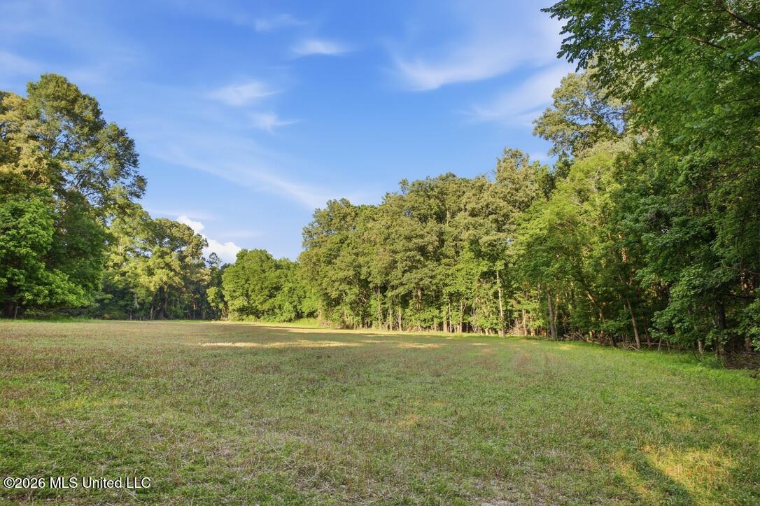 425 Rose Hill Road Bentonia, MS 39040 - Photo 131 of 150 9A28F406-D95E-4839-A77F-06C2E6FD21C8_1_1