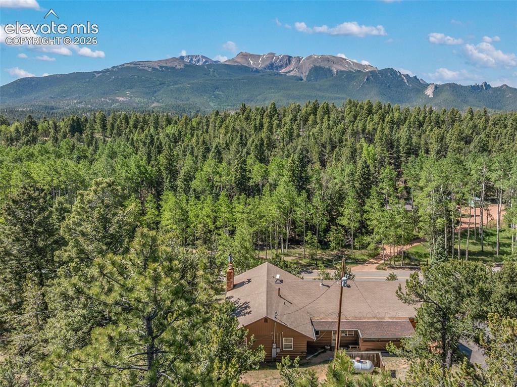 2809 Edlowe Road Woodland Park, CO 80863 - Photo 39 of 42 View of Pikes Peak