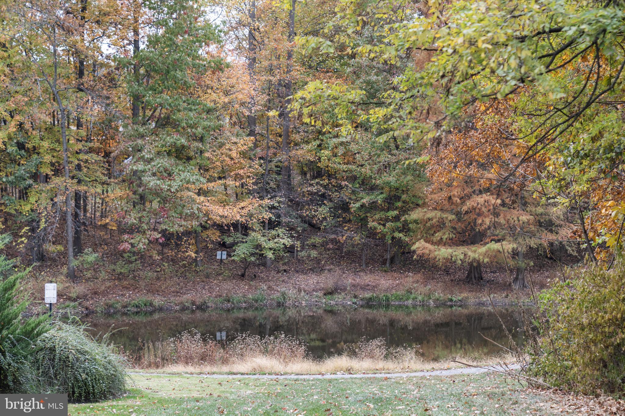 12705 Hawkshead Terrace Silver Spring, MD 20904 - Photo 39 of 52 a view of a yard