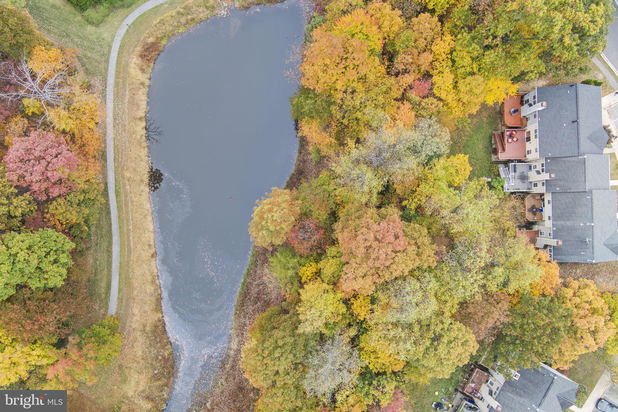 12705 Hawkshead Terrace Silver Spring, MD 20904 - Photo 49 of 52