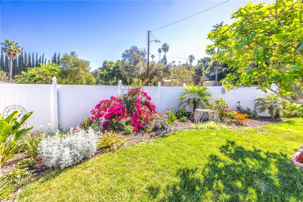 11 E Crescent Redlands, CA 92373 - Photo 4 of 35 a view of a flower in a yard