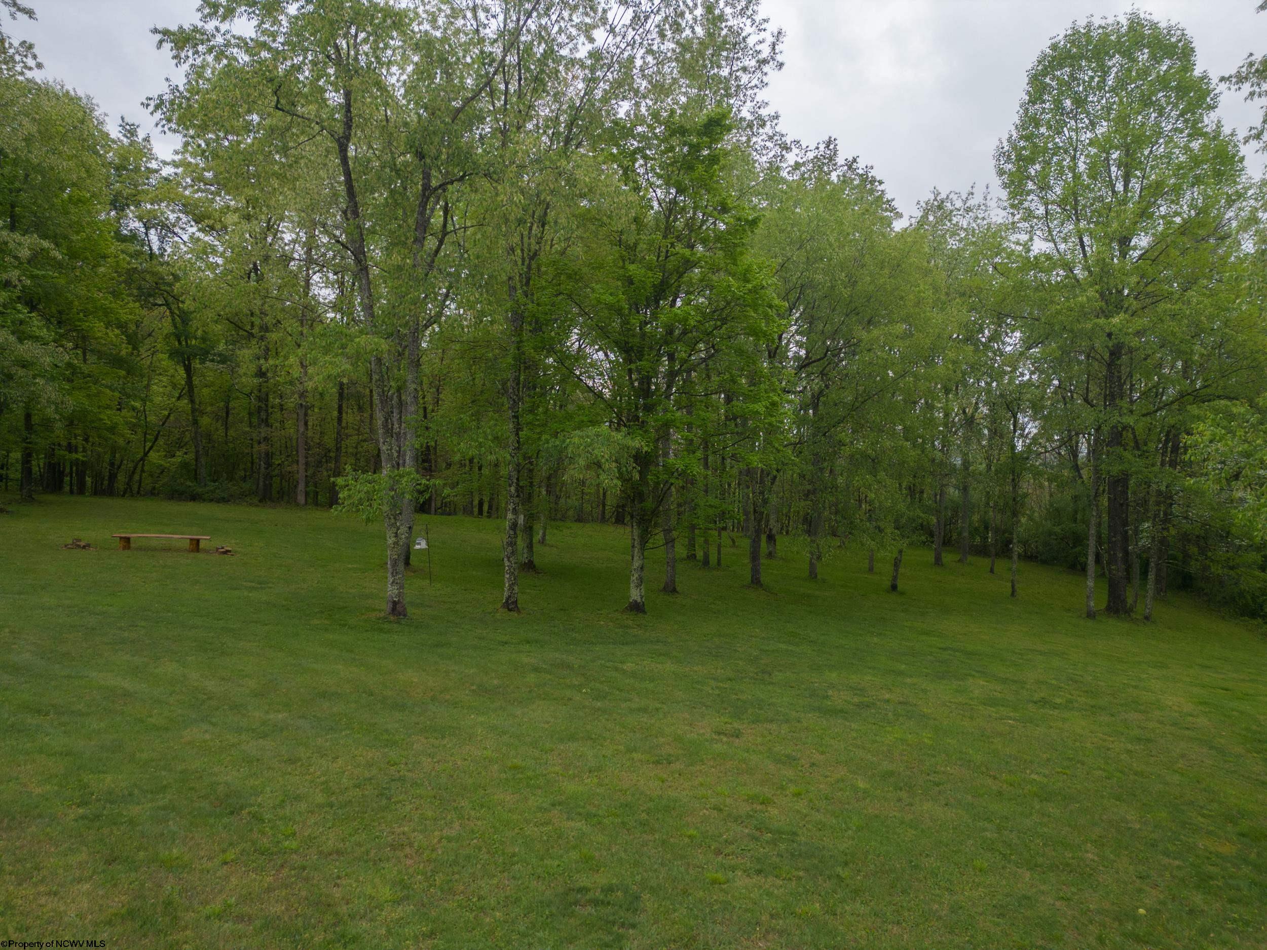 778 Elk City Road Jane Lew, WV 26378 - Photo 43 of 49 Gallery Image 43