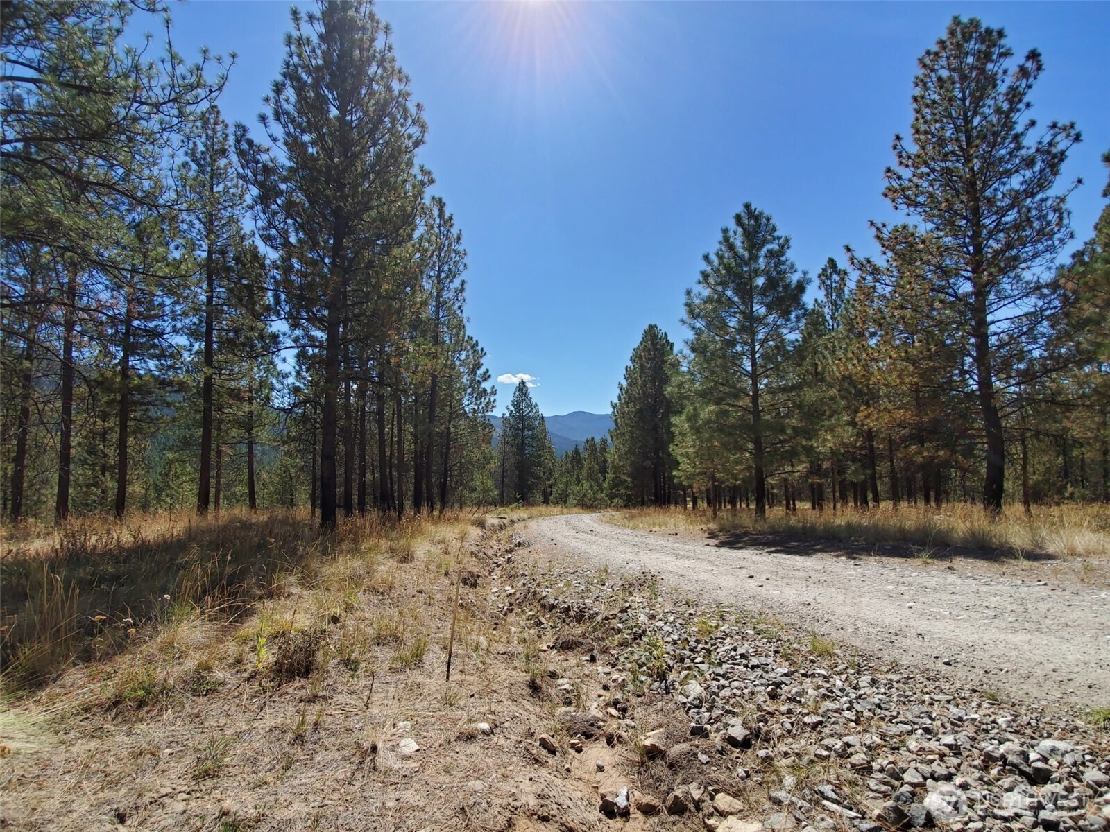 0 Long Horn Trail Riverside, WA 98849 - Photo 2 of 8 Gallery Image 2