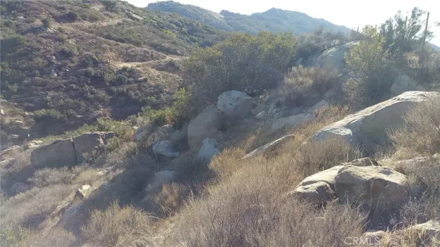 a view of a dry yard with green space