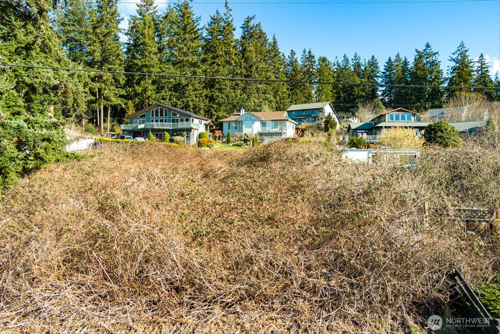 0 Mutiny Bay Road Freeland, WA 98249 - Photo 11 of 12 Gallery Image 11