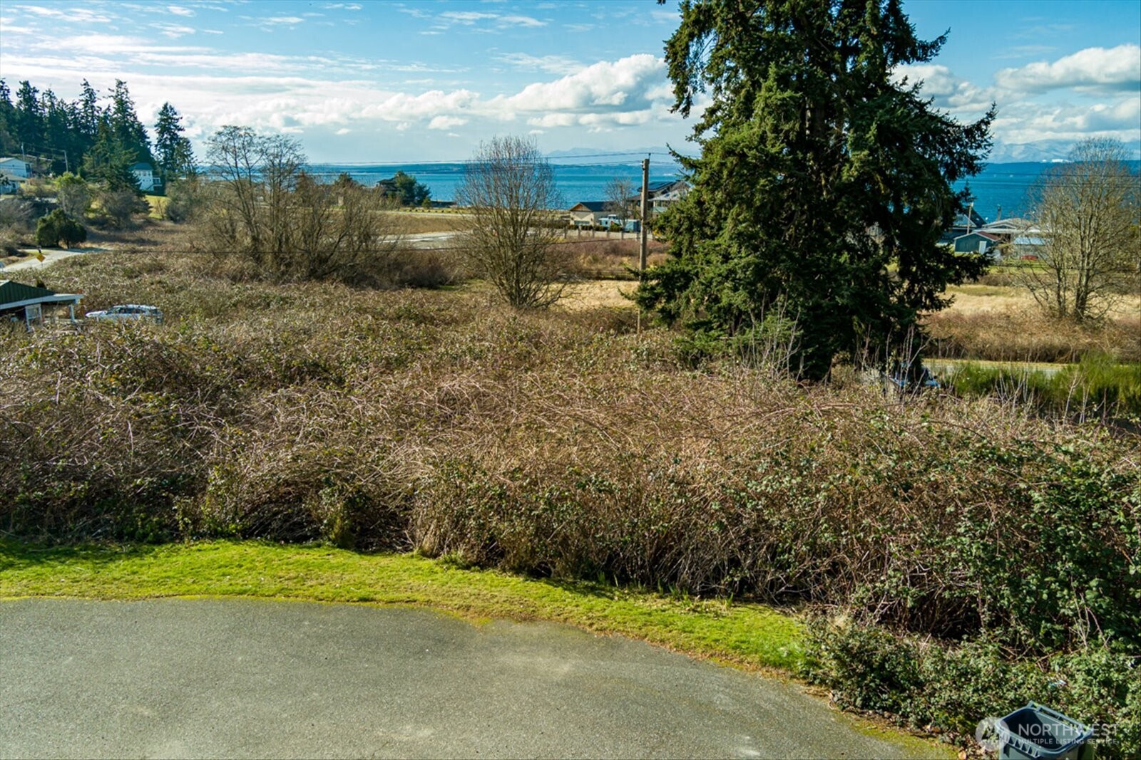 0 Mutiny Bay Road Freeland, WA 98249 - Photo 4 of 12 Gallery Image 4