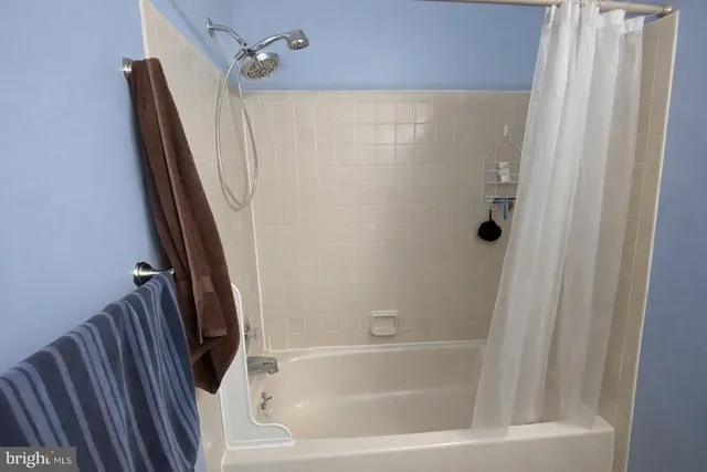 a white toilet sitting next to a shower curtain