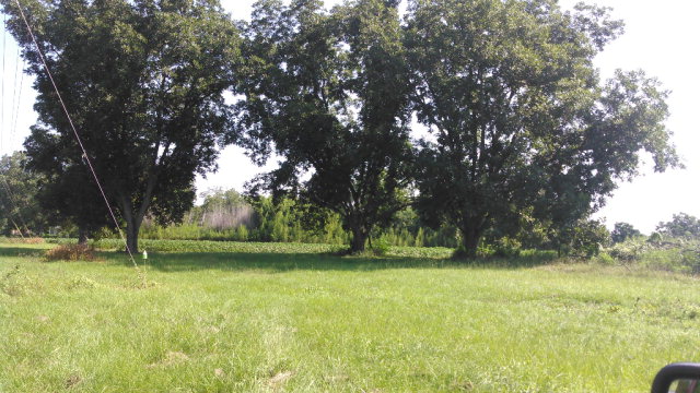 Lot # Walden Road Ozark, AL 36360 - Photo 1 of 1