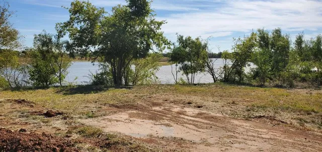 a view of a yard with a tree