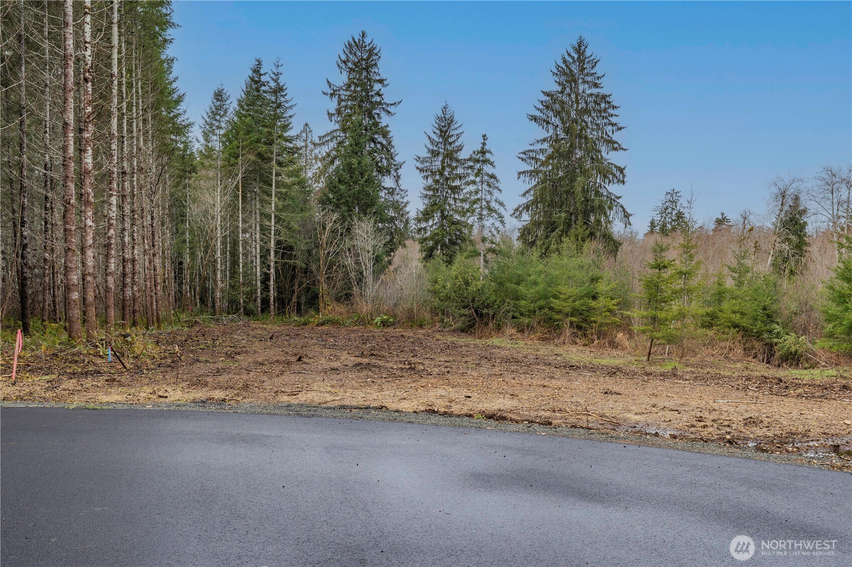 5 Larson Road McCleary, WA 98557 - Photo 14 of 26 a view of a yard with trees in the background