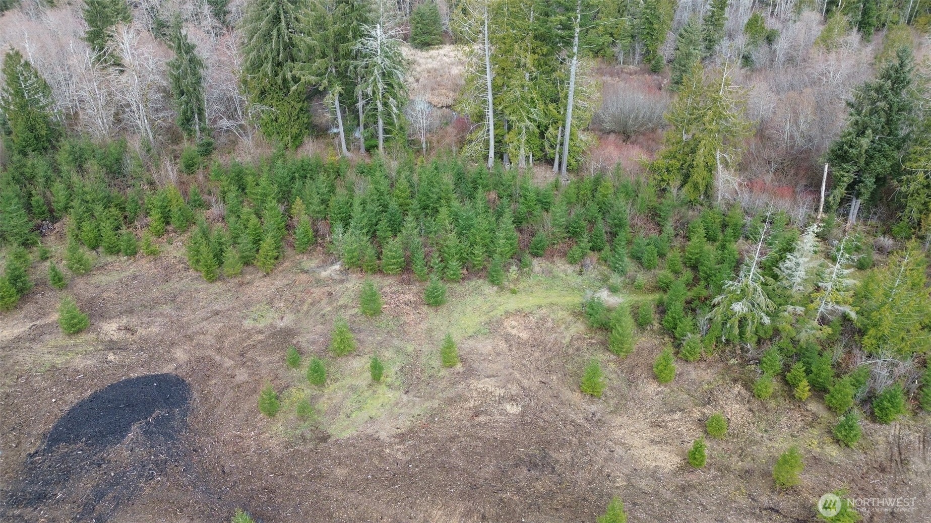 5 Larson Road McCleary, WA 98557 - Photo 5 of 26 a view of a yard with plants and a bench