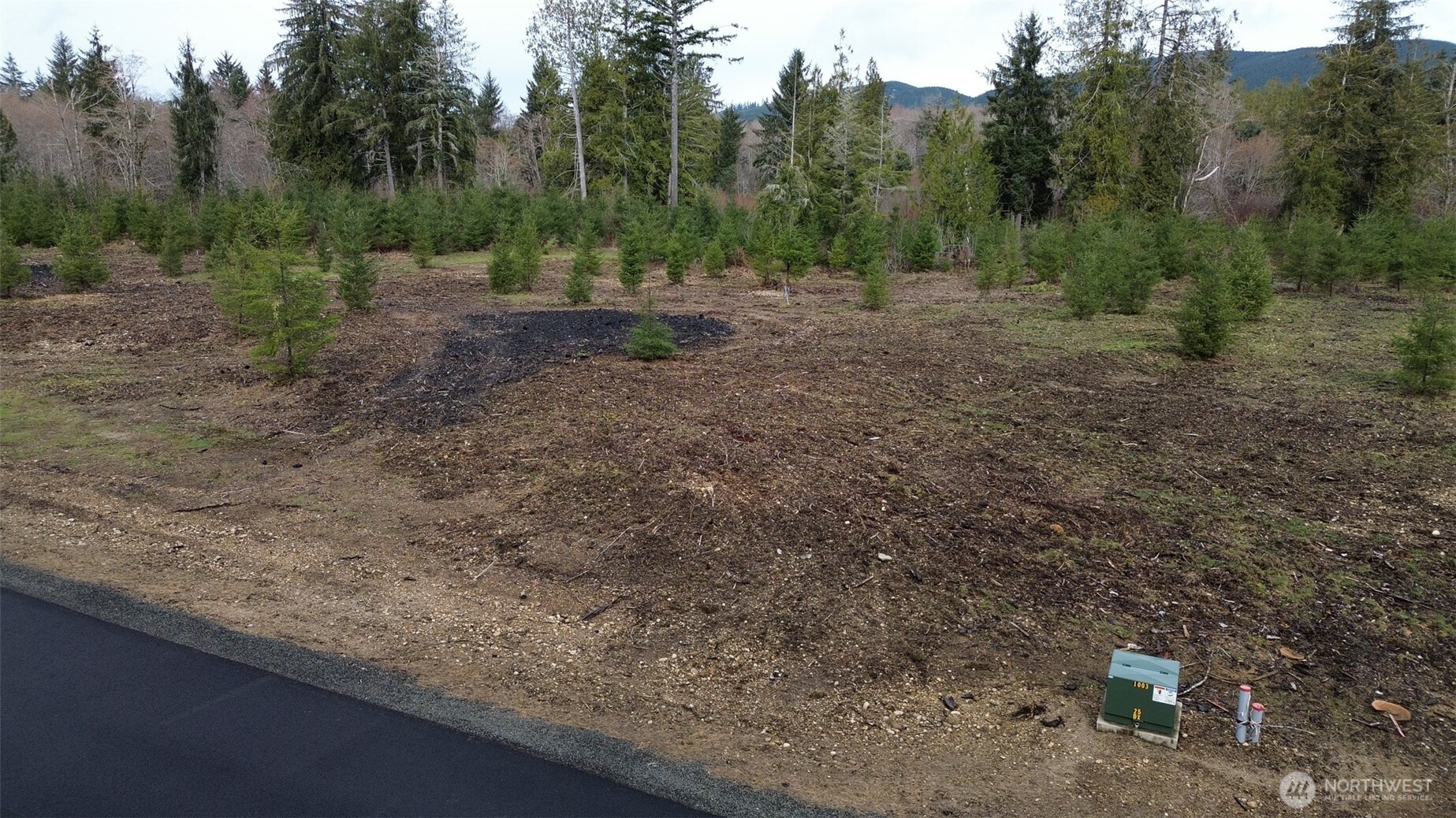 5 Larson Road McCleary, WA 98557 - Photo 10 of 26 a view of a forest with trees in the background