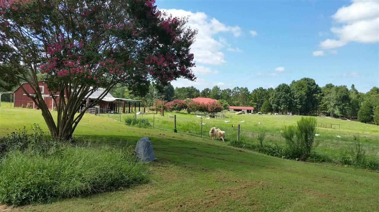 305 Herbie Road Carthage, NC 28327 - Photo 12 of 19 Additional Photo