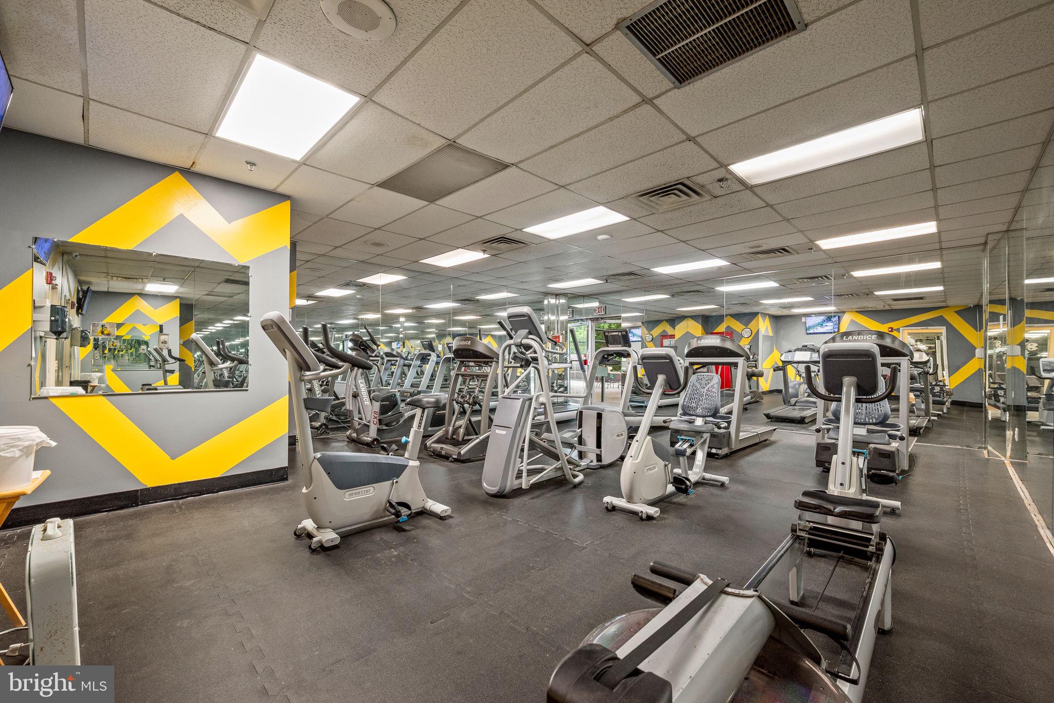 3900 West Ford Road, Unit 11B Philadelphia, PA 19131 - Photo 20 of 24