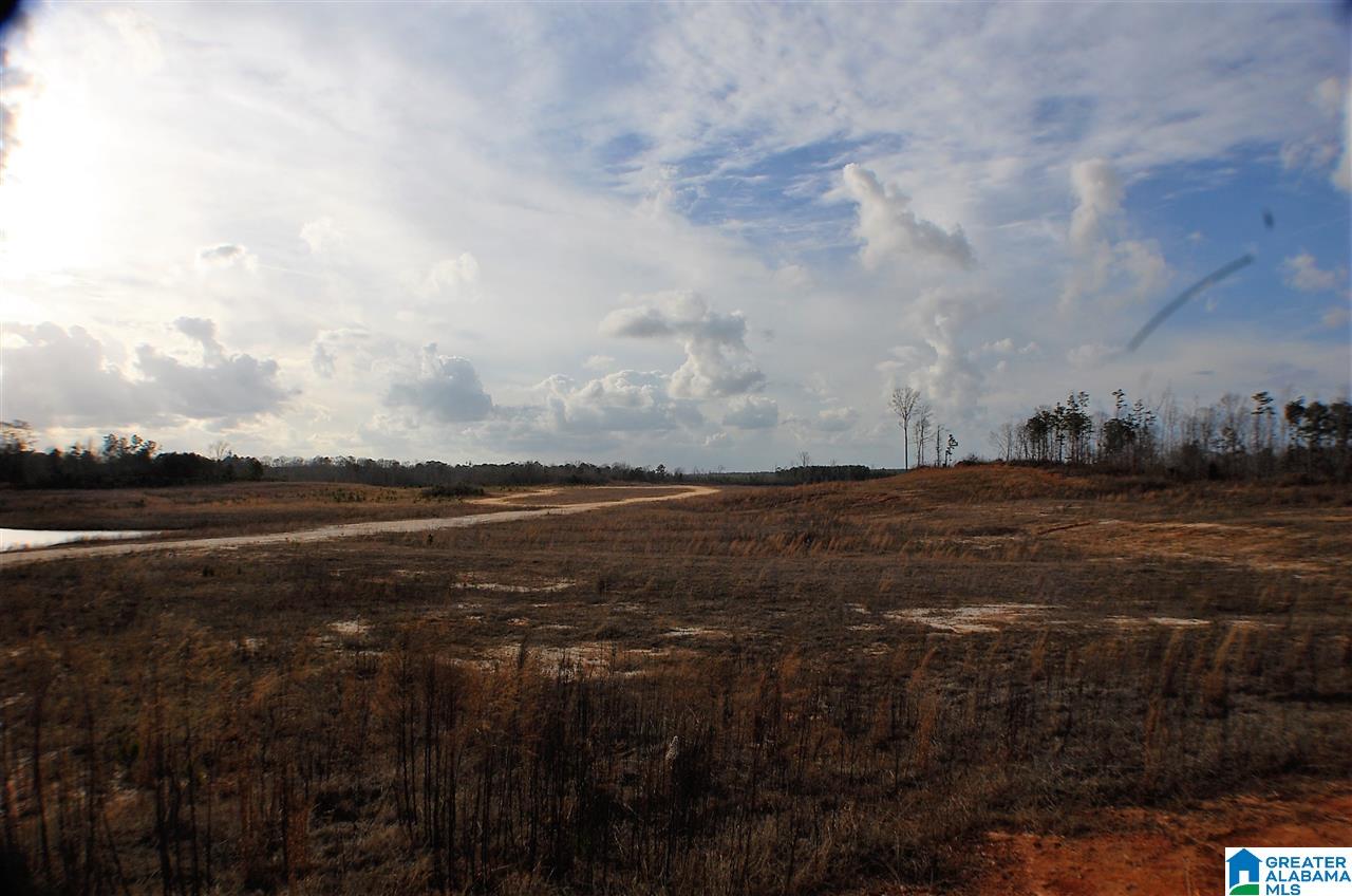 0 County Road 25, Unit 1 Jemison, AL 35085 - Photo 7 of 19