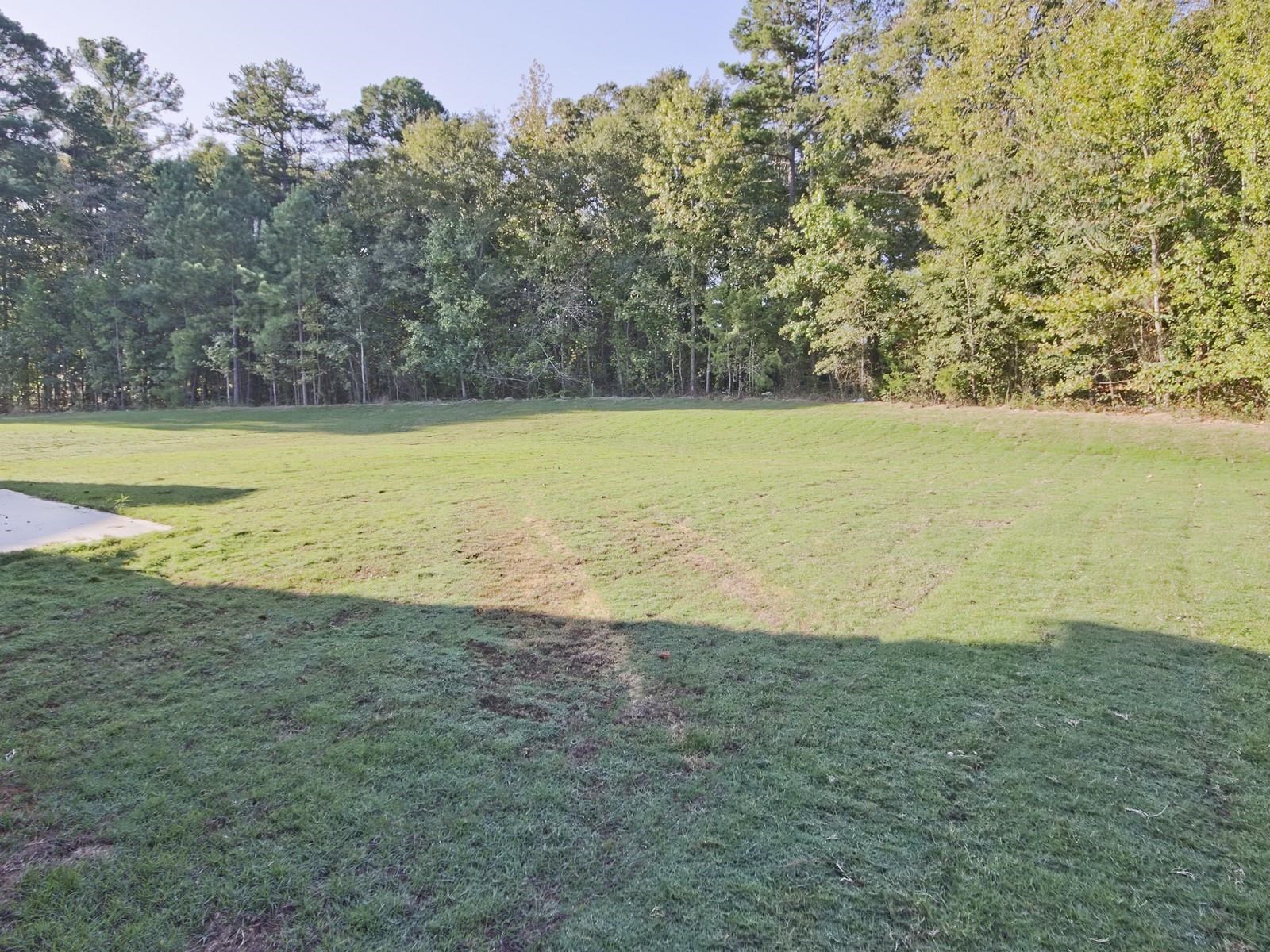 209 Addysons Way Fountain Inn, SC 29644 - Photo 30 of 32