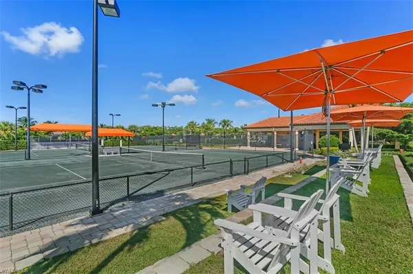 a potted plant sitting on a sidewalk