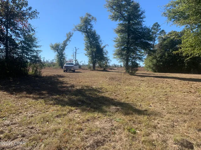 $159,000 | 0 Missy Lane, Clarksville, FL 32430