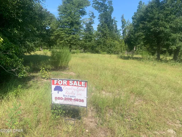 $159,000 | 0 Missy Lane, Clarksville, FL 32430