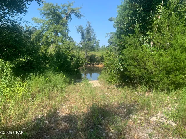 $159,000 | 0 Missy Lane, Clarksville, FL 32430