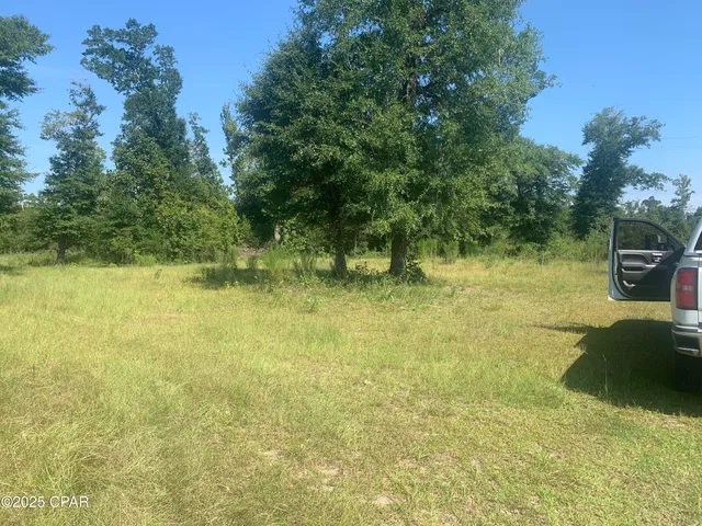 $159,800 | 0 Missy Lane, Clarksville, FL 32430