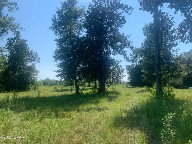 $159,800 | 0 Missy Lane, Clarksville, FL 32430