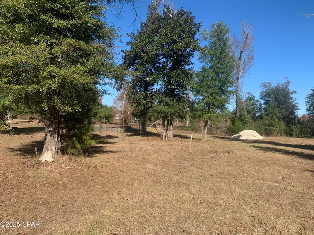 $159,800 | 0 Missy Lane, Clarksville, FL 32430